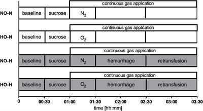 Local Mucosal CO2 but Not O2 Insufflation Improves Gastric and Oral Microcirculatory Oxygenation in a Canine Model of Mild Hemorrhagic Shock